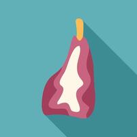 Big piece of red meat with bone preparing for barbecue vector