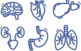 This is an illustration of human organs depicted in a detailed line art style format vector
