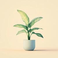 Elegant Dieffenbachia Plant in a Light Blue Pot Against a Pale Yellow Background photo