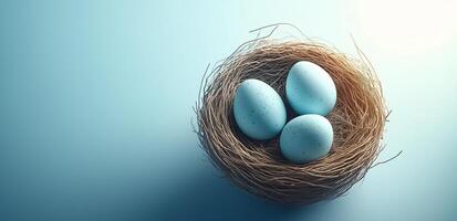Three blue eggs resting in a natural nest with soft straw on a light blue background photo