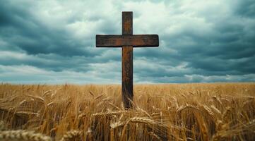 Cross standing in golden wheat field under dramatic sky at sunset photo
