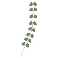 Twig with green leaves. Flat illustration vector