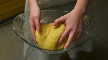 Close-up of dough lying on table and sprinkled with flour, covered with a towel by female hands. video