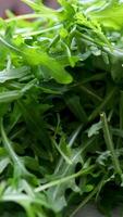 Fresh arugula leaves in bowl on stone background, top view video
