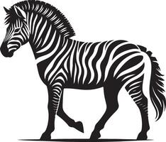 Realistic Zebra Line Drawing Coloring Page White Background vector
