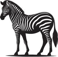 Graceful Zebra Printable Coloring Sheet Design vector