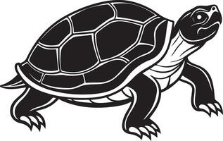 Simple Turtle Sketch Design vector
