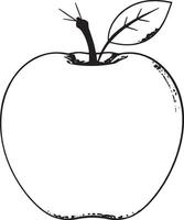 A sketch art illustration of an apple vector