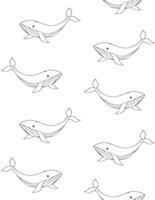 Seamless pattern of hand drawn doodle sketch whale isolated on white background vector