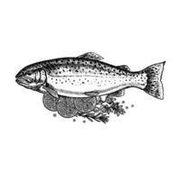 Trout with lemon and herbs. A hand-drawn graphic illustration. Black and white image of seafood. Separate from the background. Perfect for menus, recipe books, packages, labels, invitations. vector