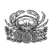 Crab with lemon and herbs. A hand-drawn graphic illustration. Black and white image of seafood. Separate from the background. For menus, recipe books, packages, labels. vector