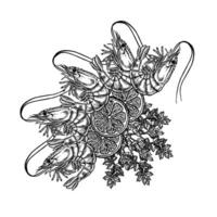 Shrimp with lemon and herbs. Hand-drawn illustration. Black and white graphic image of seafood. On a white background. For menus, recipe books, packages, labels vector