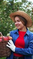 Caucasian lady is happy about the harvest of apples collected in the garden. Woman in hat holds a full basket of fruit standing in the orchard. Vertical video
