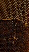 Electric knife sliding easily by the honey combs. Man uncovers sealed wax cells for easier honey extraction in machine. Close up. Vertical video