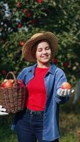 Sunny day in the garden on harvest season. Happy smiling lady with a full basket in hands tossing apple in the air playfully, smells it and puts back into basket. Vertical video