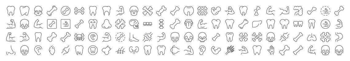 Internal Organs, Teeth and Bones Outline Simple Linear Image Collection. Editable Stroke. Suitable for Web Sites, Books, Cards, Apps vector