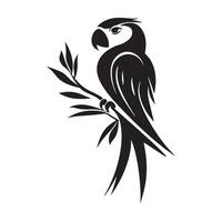 Parrot on branch Logo Image. Simple modern parrot logo design inspiration on white background vector