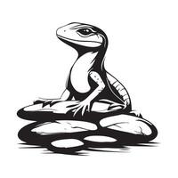 Black and white Calm Lizard Sunbathing on Rocks in Its Habitat Image isolated on white background. vector