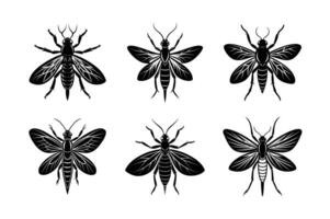 Pterygote silhouette set with white background vector