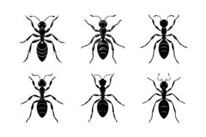 Ant silhouette set with white background vector