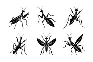 Mantis silhouette set with white background vector