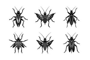 Orthoptera silhouette set with white background vector