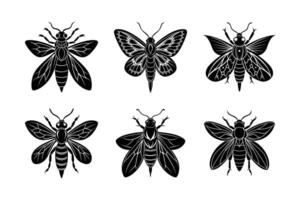 Meganeura silhouette set with white background vector