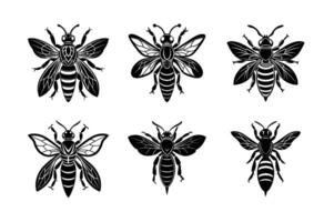 Hornets silhouette set with white background vector