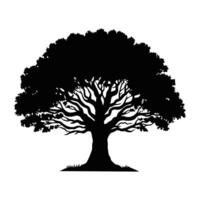 An oak tree silhouette on white background vector