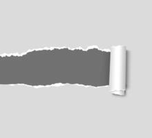 White ripped paper rolled up on torn paper and dark background with space for text. vector