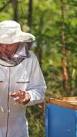 Beekeeper is working with bees and beehives on the apiary video