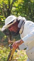 Beekeeper works with bees and beehives in the apiary. video