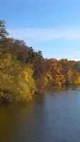 Beautiful autumn scenery. Calm blue river surrounded with yellow, red and orange tree under blue sky. Panoramic view. Vertical video