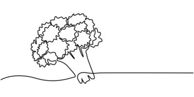 continuous one line drawing broccoli vegetables hand drawn picture silhouette vector