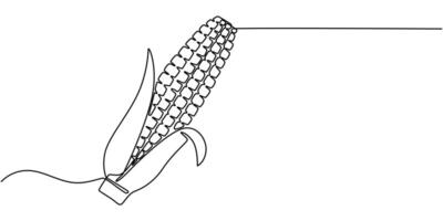Maize ear in continuous line art drawing style vector