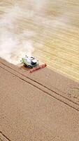 agricultura máquina trabalhando em campo às colheita temporada. branco poeira depois de a combinar Aumentar dentro a ar. colheita máquina coleta maduro cortar. aéreo visualizar. vertical video