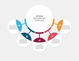 Creative Circle Infographic Template Design with Five Steps Options vector