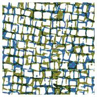 Abstract pattern with interconnected shapes in blue, white, and green. vector