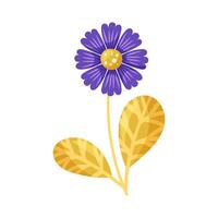 Purple cornflower with golden leaves. Element for design on white background. Isolated illustration. vector