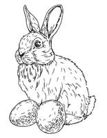 Easter Bunny. Cute white rabbit with easter eggs. Graphic image of a rabbit in sketch vector