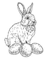 Easter Bunny. Cute white rabbit with easter eggs. sketch. Easter Holiday vector