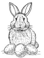 Easter Bunny. Cute white rabbit with easter eggs. Graphic image of a rabbit in sketch. Easter Holiday vector