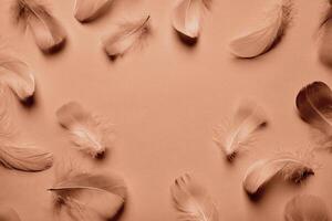 Abstract background with soft feathers in mocha mousse color photo