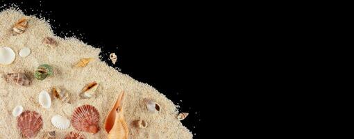 summer banner with sand and shell ornament photo