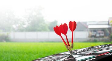 red darts on target with green field background photo