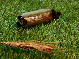 Selective Focus Lemper bakar cake is a delicious traditional Indonesian cake, wrapped in banana leaves, with a synthetic grass base and a blurred wheat stalk foreground. photo