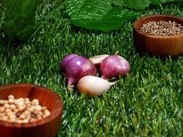 Selective focus shallots, garlic, and coriander seeds placed on synthetic grass. The coriander seeds are stored in small wooden bowls. Green leaves in the background enhance the aesthetic. photo