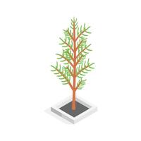 An eye catching isometric style icon of a small tree in a square planter vector