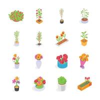 A set of isometric icons of plants and flowers in different containers. vector