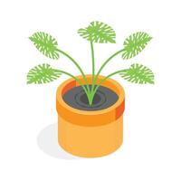 An eye catching isometric icon of a plant in a decorative, square planter. ,', vector